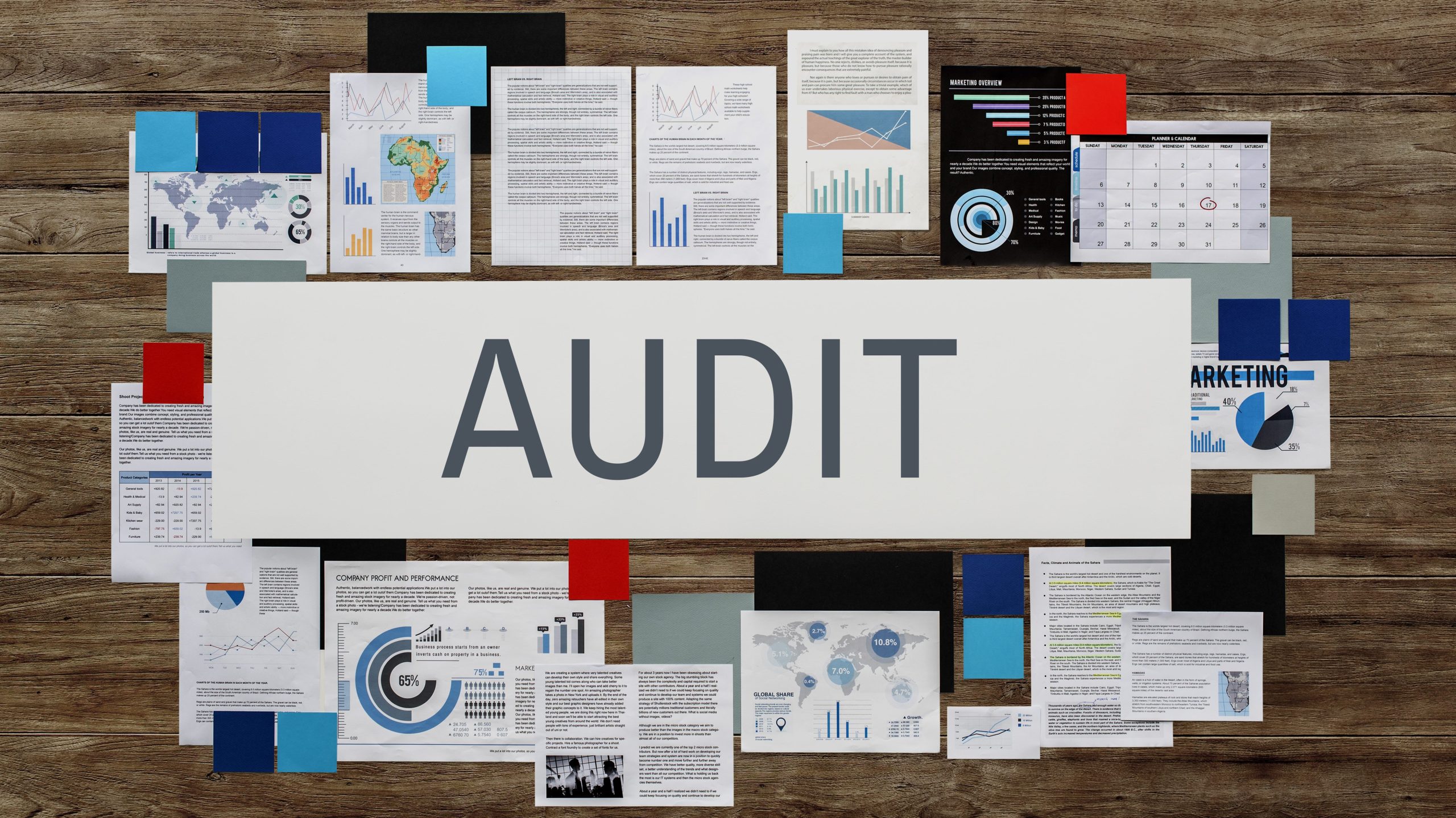audit internal